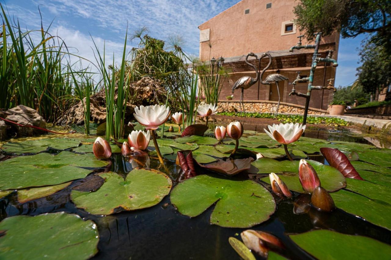 Finca Agroturismo Son Menut Felanitx Kültér fotó