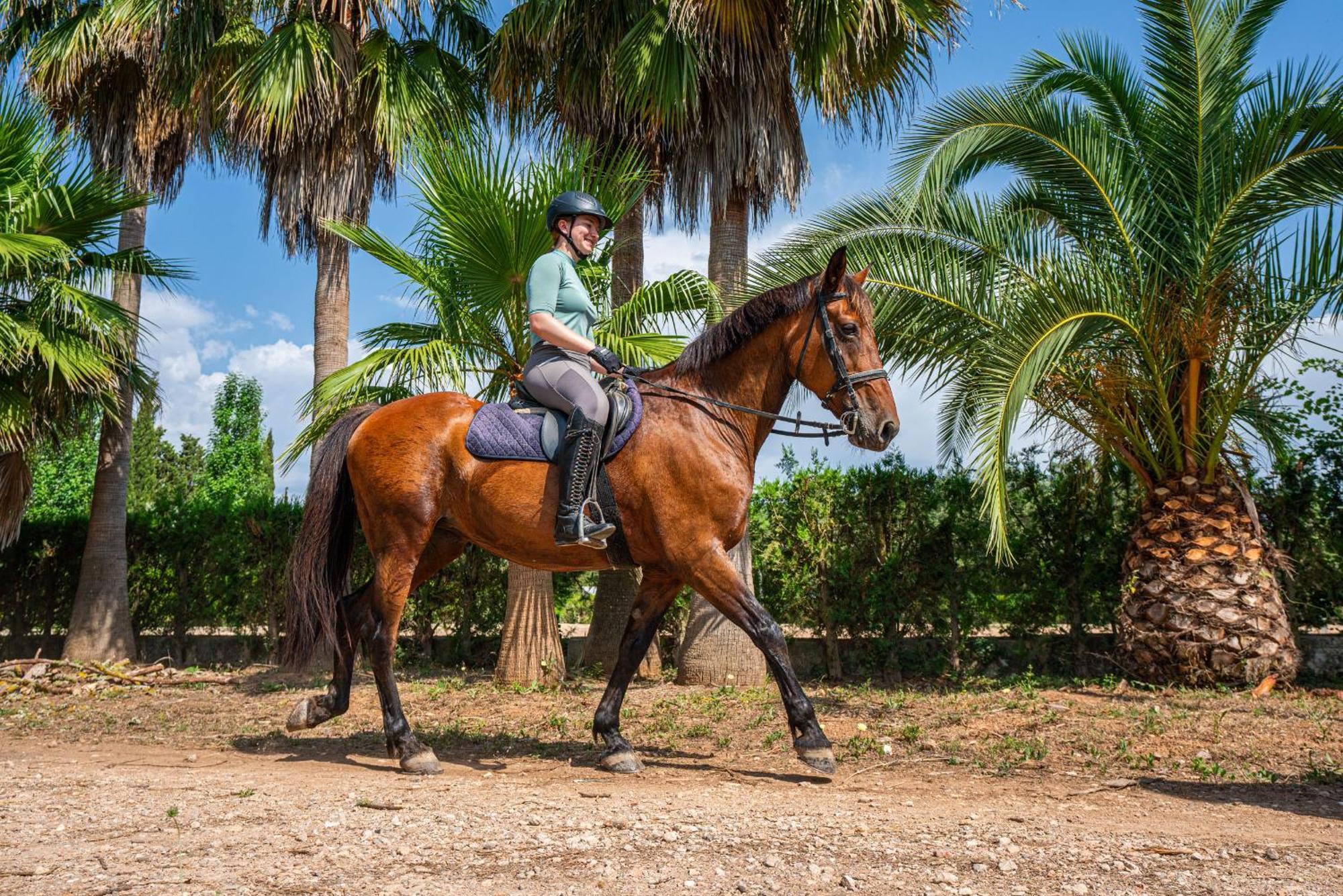 Finca Agroturismo Son Menut Felanitx Kültér fotó