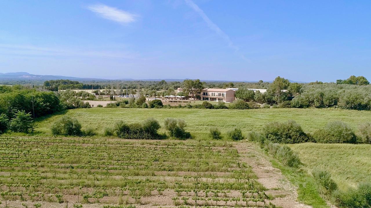 Finca Agroturismo Son Menut Felanitx Kültér fotó