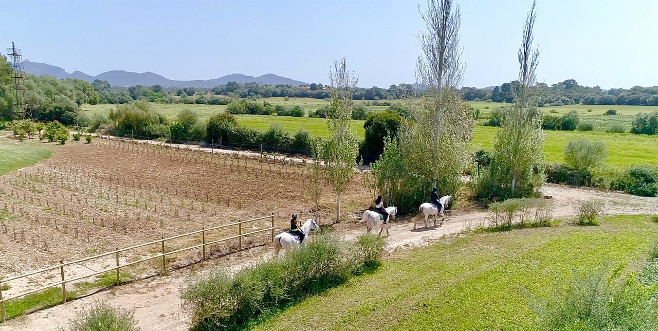 Finca Agroturismo Son Menut Felanitx Kültér fotó
